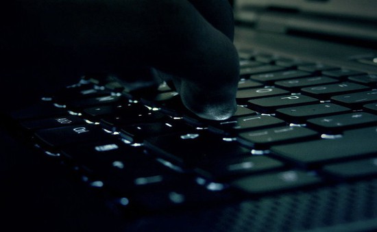 Anh và Hà Lan phối hợp đánh sập một trang web tội phạm lớn
