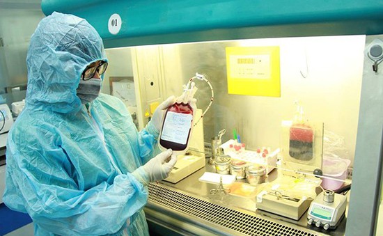 320 ca ghép tế bào gốc tạo máu đã được triển khai