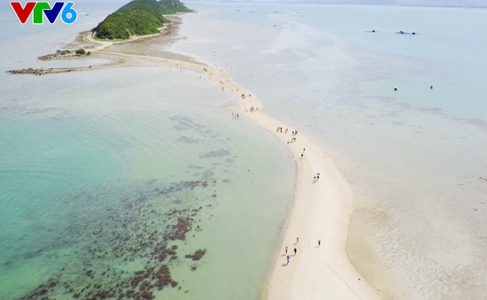 Đảo Điệp Sơn - Điểm đến không thể bỏ qua trong mùa hè này