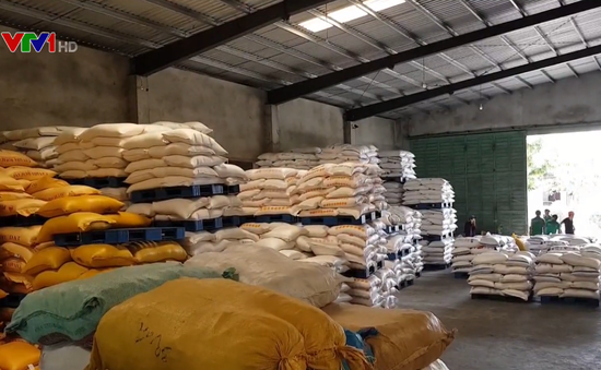 Bắt quả tang kho chứa 100 tấn đường nhập lậu ở Quảng Nam