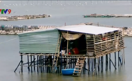 Khánh Hòa: Người dân ồ ạt dựng nhà sàn dày đặc trên vịnh Cam Ranh