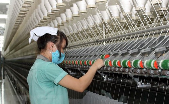 Lâm Đồng: Khởi công nhà máy sợi len lông cừu đầu tiên ở việt Nam