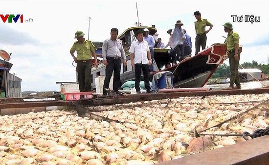 Ngư dân La Ngà vẫn chưa nhận được hỗ trợ bồi thường vụ cá chết