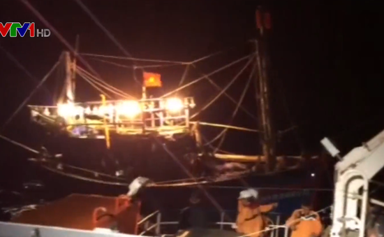 Cứu kịp thời 7 ngư dân gặp nạn trên vùng biển Vịnh Bắc bộ