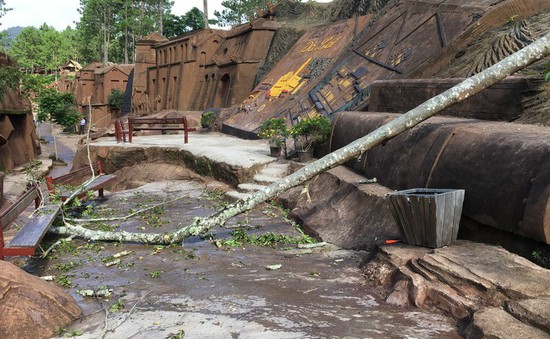 Đà Lạt: Cây rừng mục đổ đè bé gái tử vong