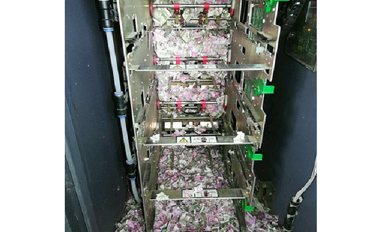 Chuột cắn nát hơn 18.000 USD tại một cây ATM ở Ấn Độ