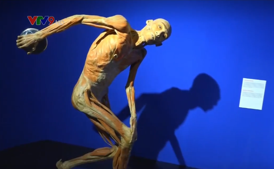 Độc đáo triển lãm cơ thể người thật đầu tiên tại Việt Nam