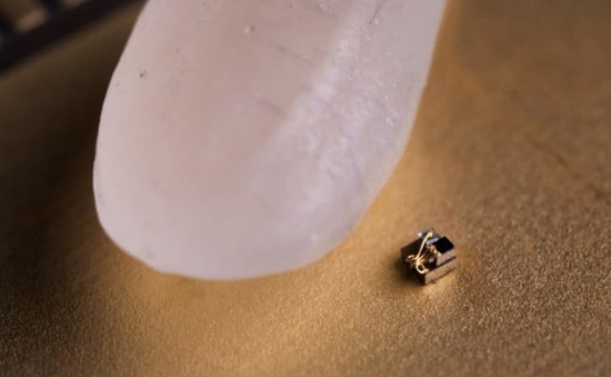 Chế tạo thành công "máy tính" nhỏ nhất thế giới đúng bằng hạt gạo