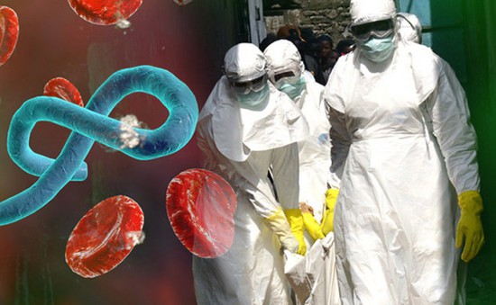 Các cơ sở y tế tăng cường cảnh giác phát hiện sớm và phòng lây nhiễm bệnh do vi rút Ebola