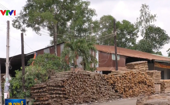 Đồng Nai: Biến gần 30ha đất rừng thành nhà xưởng