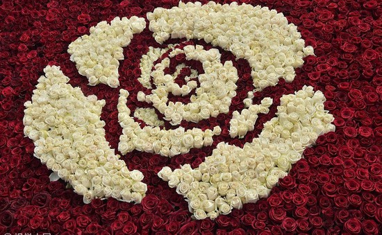 Công trình kiến trúc kết từ hơn 500.000 bông hoa hồng tại Ecuador