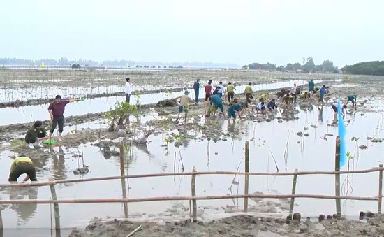 Dự án "Tăng cường khả năng chống chịu với lũ lụt ở khu vực đô thị và ven biển Thừa Thiên Huế"
