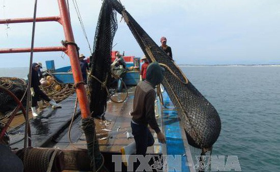 Loại bỏ tàu cá giã cào: Cần tạo công ăn việc làm cho ngư dân