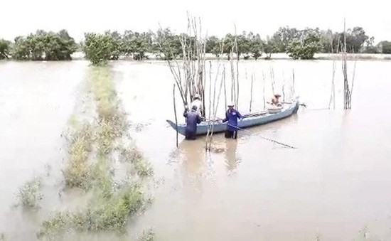 Lũ ở ĐBSCL tăng mạnh do vỡ đập thủy điện ở Lào và triều cường