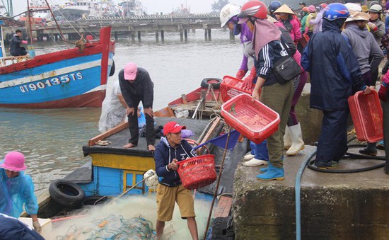 Kiên Giang: Bắt tạm giam hai nghi phạm “cò” ngư phủ