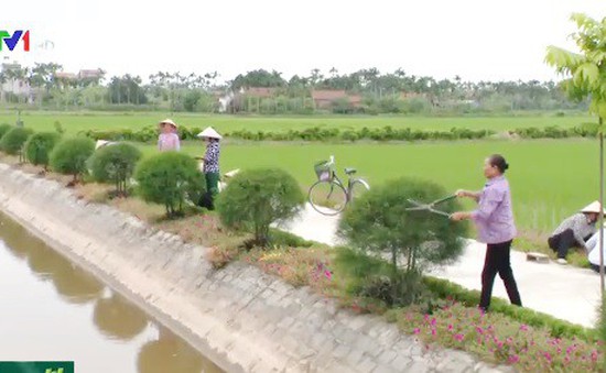 Phụ nữ Hải Hậu, Nam Định làm sạch đường quê
