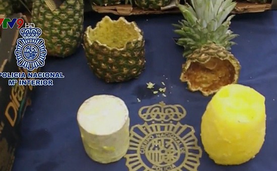 Tây Ban Nha tịch thu gần 70kg ma túy giấu trong dứa