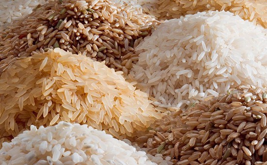 Cô giáo gây tranh cãi khi giao bài tập đếm 100 triệu hạt gạo cho học sinh