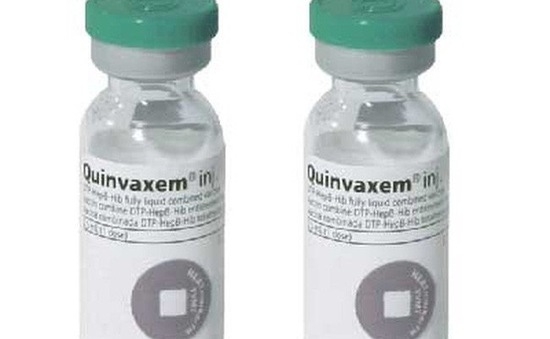 TP.HCM: Hết vaccine 5 trong 1 Quinvaxem