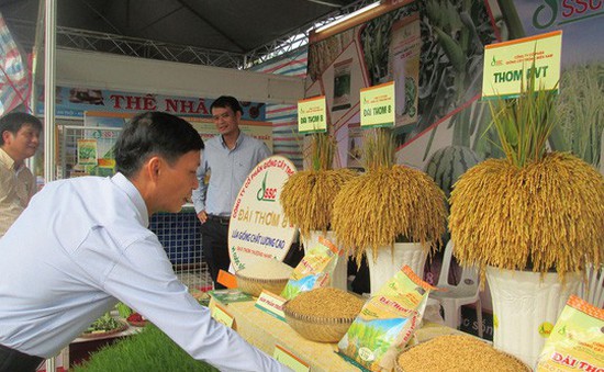 Việt Nam đẩy mạnh xuất khẩu sản phẩm gạo cấp cao