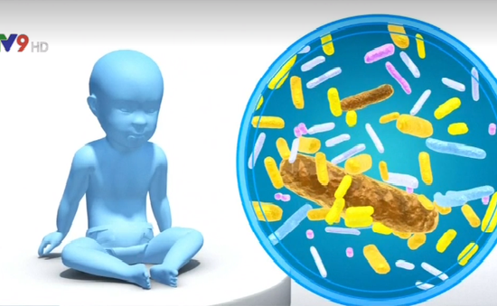 Chất khử trùng gia dụng liên quan đến bệnh béo phì ở trẻ em