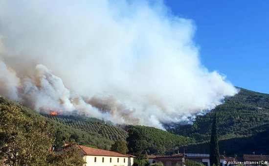 Italy sơ tán hàng trăm người do cháy rừng