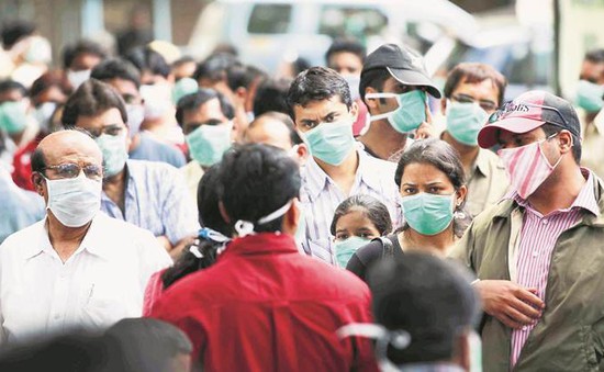 Dịch cúm lợn bùng phát mạnh tại bang Maharashtra, Ấn Độ