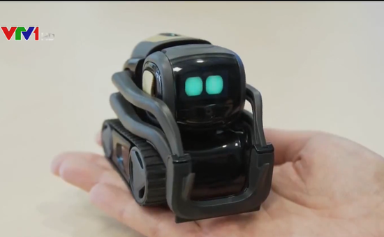Robot mini - Bước tiến mới trong công nghệ thông minh