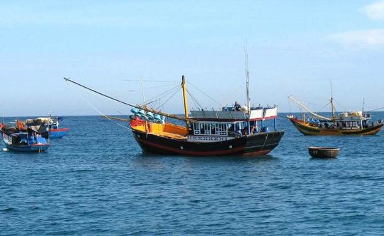 Bình Thuận: Nghề cá truyền thống bị hủy hại bởi giã cào bay
