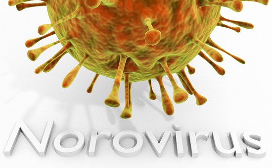 Bùng phát norovirus khiến 600 học sinh phải nghỉ học tại Mỹ