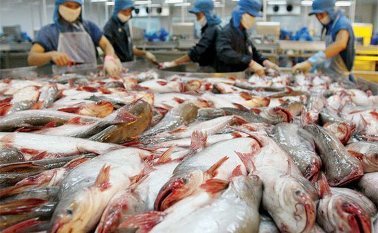 Việt Nam khiếu nại biện pháp chống bán phá giá cá tra, basa lên WTO
