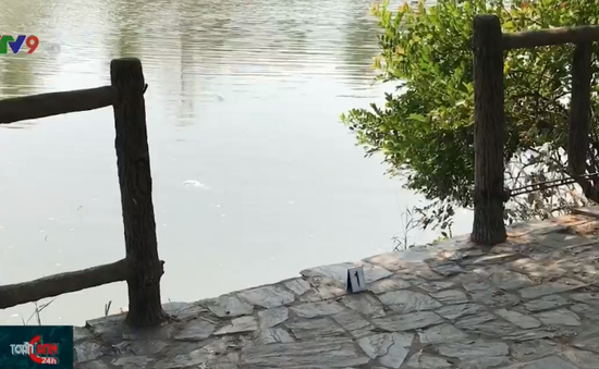 Đi thả cá phóng sinh, một phụ nữ trượt chân rơi xuống sông đuối nước