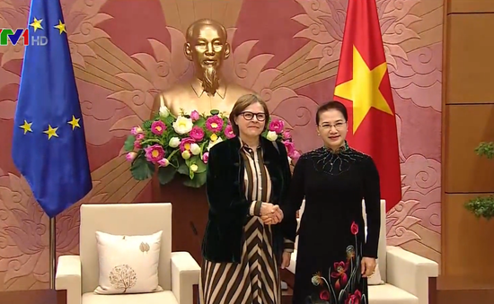 “Nghị viện châu Âu là trụ cột quan trọng trong quan hệ hợp tác toàn diện Việt Nam - EU”