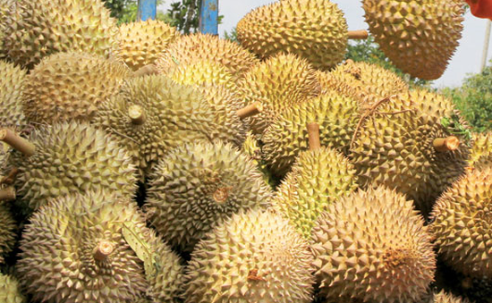 Xuất khẩu chính ngạch 7 loại trái cây Việt vào thị trường tỷ dân