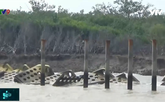 Cà Mau: Kè chống sạt lở bảo vệ bờ biển làm chưa xong đã hỏng
