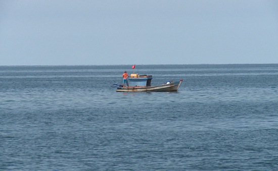 Trải nghiệm câu cá Bắc đảo Phú Quốc