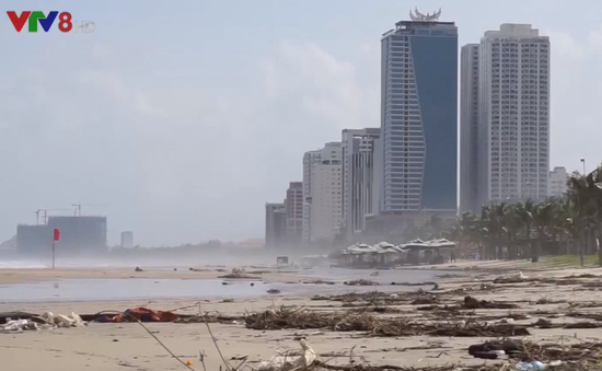 Rác thải tràn ngập bãi biển Đà Nẵng