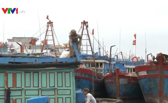 Ngư dân Quảng Ngãi nơm nớp nỗi lo mất an toàn neo đậu tàu cá