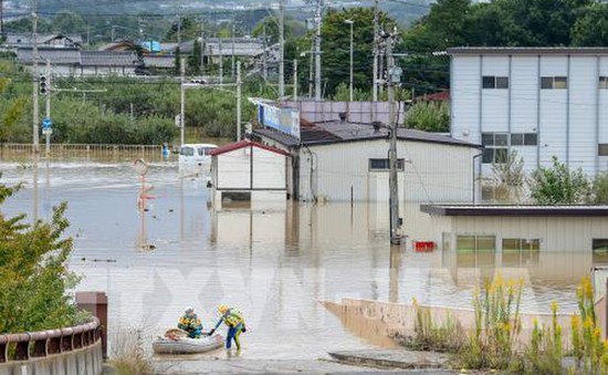 Nhật Bản: Hàng chục nghìn người phải sơ tán do mưa lớn