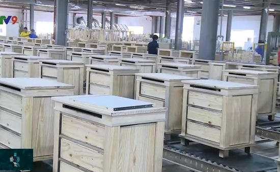 Doanh nghiệp gỗ đầu tư chuỗi sản xuất để tận dụng cơ hội xuất khẩu