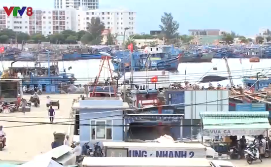 Đà Nẵng nâng cấp cảng cá Thọ Quang