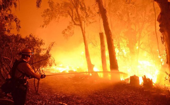 Cháy rừng lan rộng tại miền Nam Brazil
