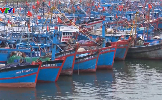 Đà Nẵng cấm biển, kêu gọi tàu thuyền vào bờ tránh bão số 6