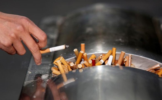 Australia nâng mức phạt đối với hành vi vứt tàn thuốc bừa bãi