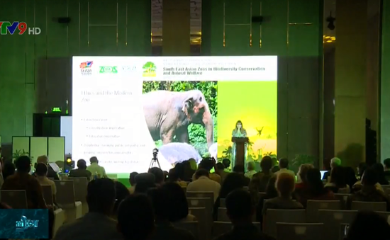 Hàng trăm chuyên gia tham dự Hội nghị Hiệp hội Vườn thú Đông Nam Á