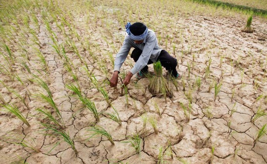 Campuchia chuẩn bị đối phó với khô hạn