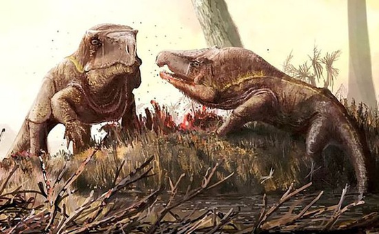 Loài rồng 250 triệu năm tuổi với cái đầu khổng lồ kỳ lạ ở Nga