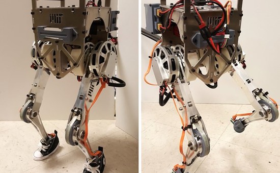 Mỹ phát triển robot hai chân có thể di chuyển cân bằng được như người