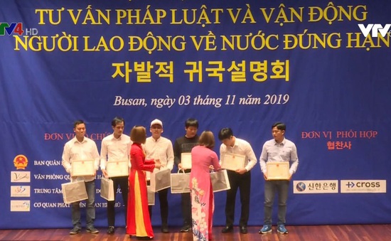 Tư vấn lao động Việt Nam tại Hàn Quốc về nước đúng hạn