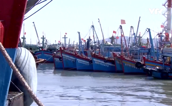Tàu cá Khánh Hòa bị Indonesia bắt giữ trái phép